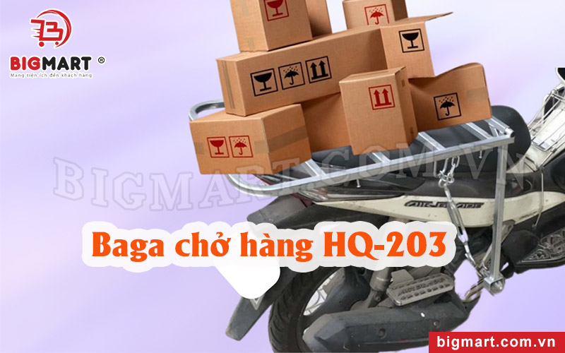 Baga chở hàng xe máy Bigmart HQ-203