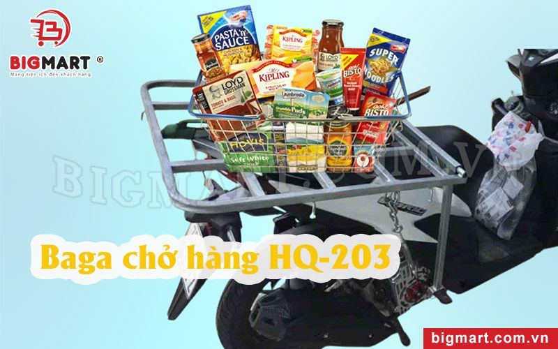 Giá chở hàng xe máy đa năng HQ-203