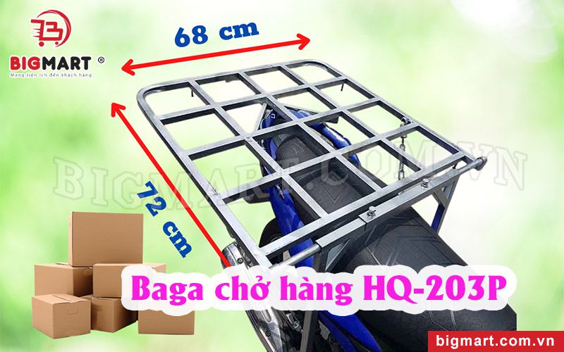 Baga chở hàng xe máy Bigmart HQ-203P