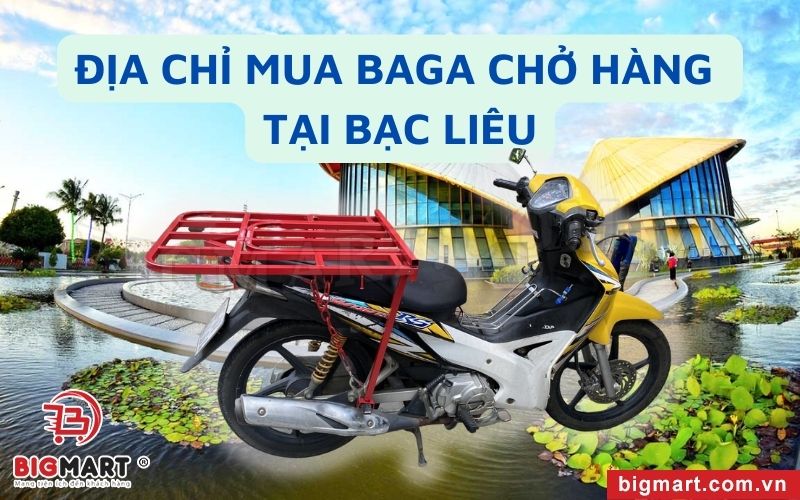 Nơi Chọn Mua Baga Chở Hàng Xe Máy Bạc Liêu Uy Tín Nhất