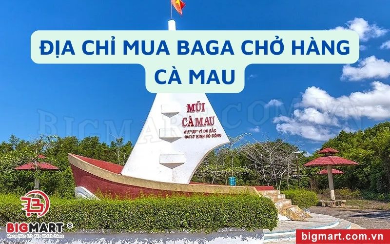 Chuyên Cung Cấp Baga Chở Hàng Xe Máy Cà Mau Uy Tín, Giá Tốt