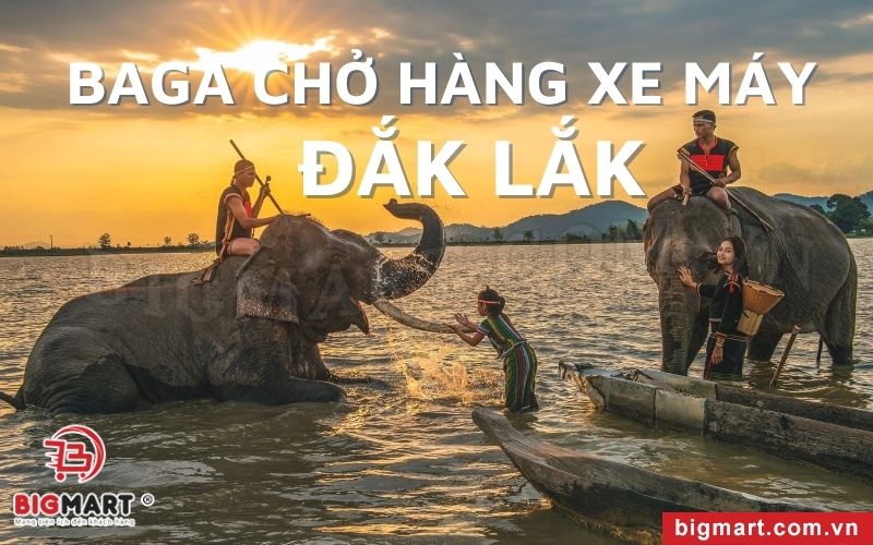 Bật Mí Nơi Cung Cấp Baga Chở Hàng Xe Máy Đắk Lắk Uy Tín