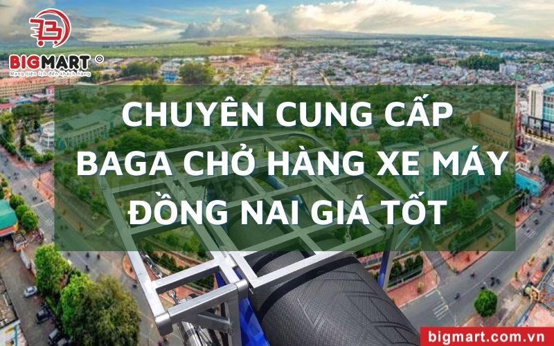 Chuyên Cung Cấp Baga Chở Hàng Sau Xe Máy Tại Đồng Nai Giá Tốt