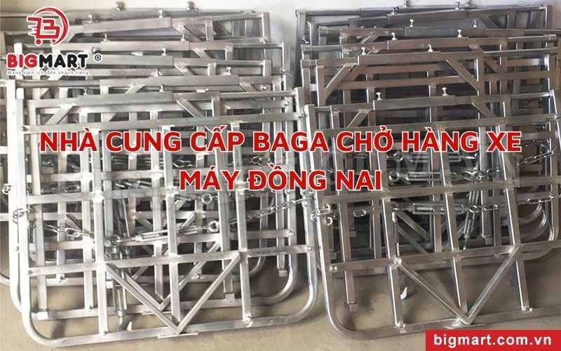 Tại sao các nhà cung cấp baga chở hàng xe máy Đồng Nai khá đông? 