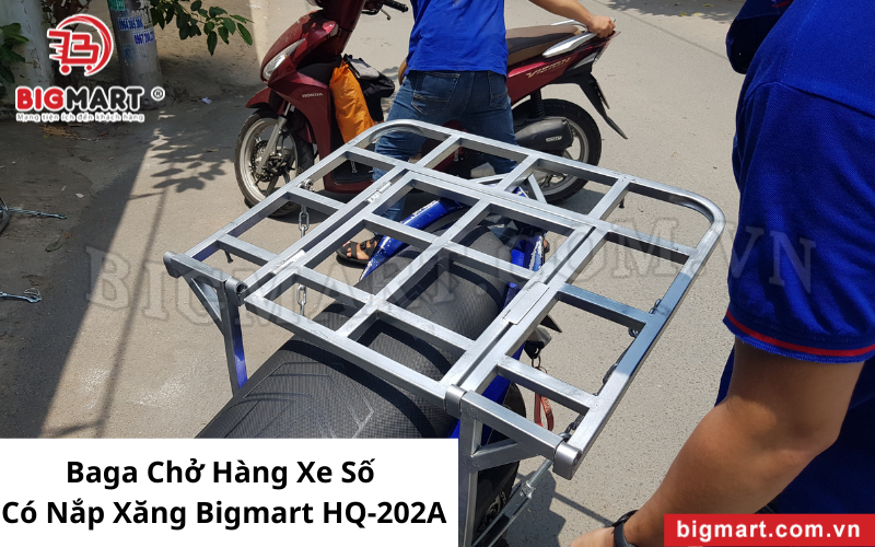 Baga Chở Hàng Xe Số Có Nắp Xăng Bigmart HQ-202A (57*68cm)