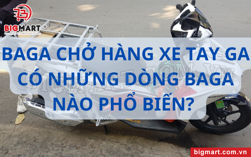 Baga chở hàng xe tay ga có những dòng baga nào phổ biến?