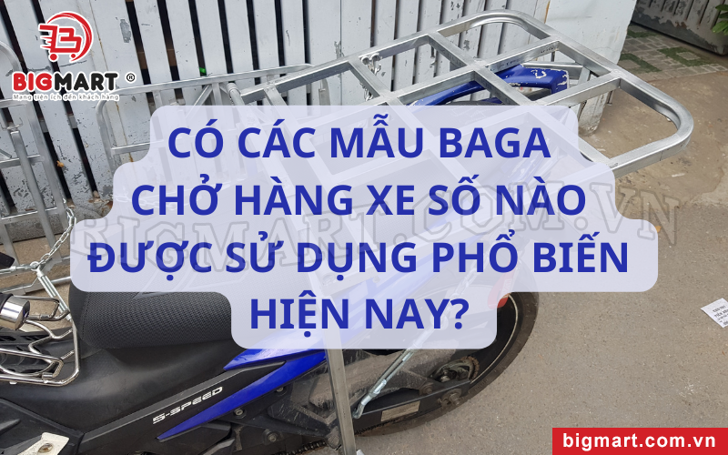 Có các mẫu baga chở hàng xe số nào được sử dụng phổ biến hiện nay? 