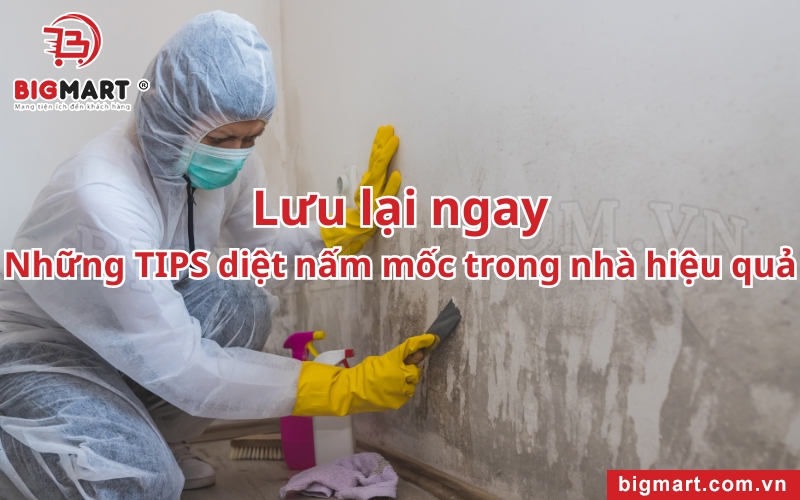 những cách diệt nấm mốc trong nhà