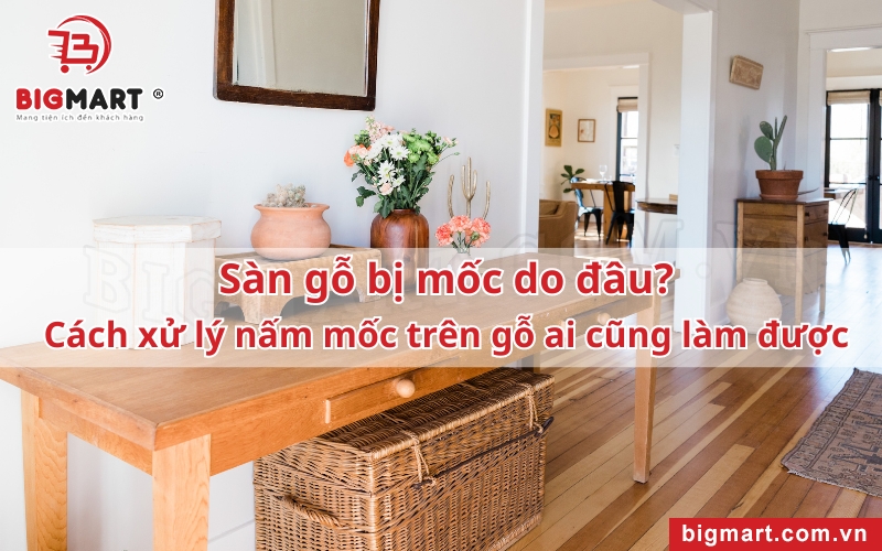 cách xử lý nấm mốc trên gỗ