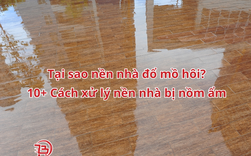 cách xử lý nền nhà bị nồm ẩm