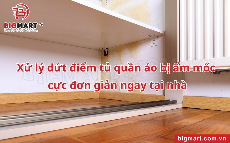 cách xử lý tủ quần áo bị ẩm mốc