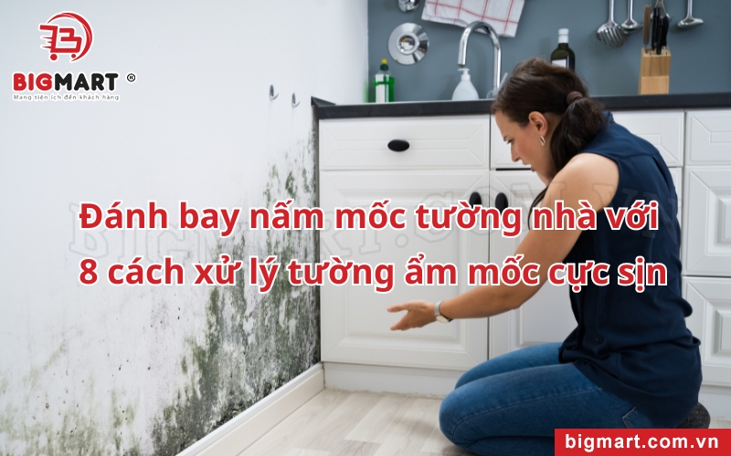 Cách xử lý tường nhà bị ẩm mốc