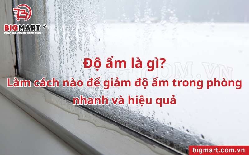 Độ ẩm là gì