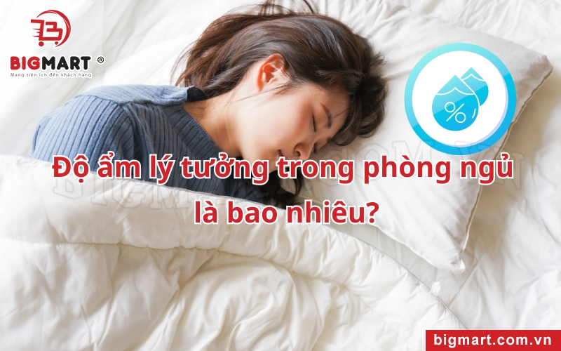 độ ẩm lý tưởng trong phòng ngủ