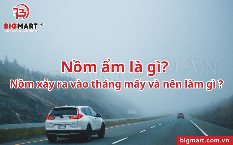 Nồm ẩm là gì