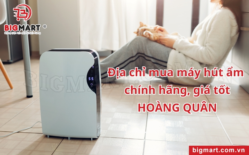 địa chỉ mua máy hút ẩm uy tín