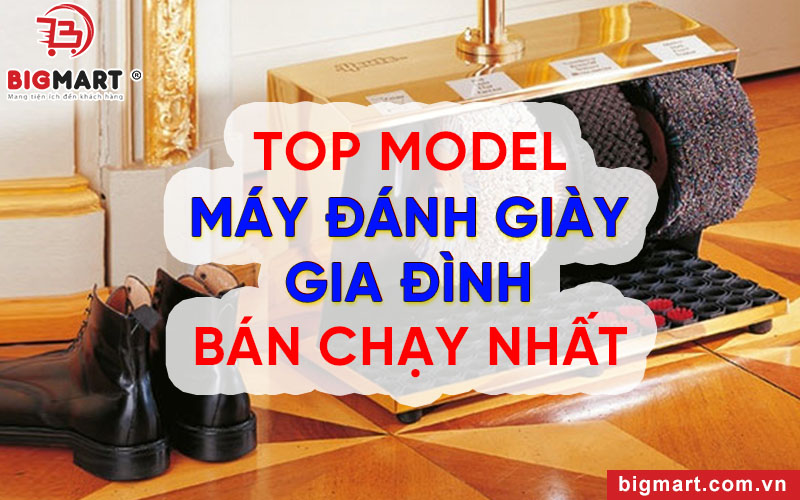 Máy đánh giày gia đình loại nào tốt nhất