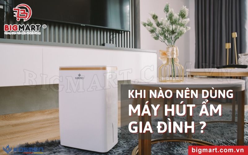 Máy hút ẩm gia đình sẽ là một thiết bị hữu dụng cho căn nhà của bạn.