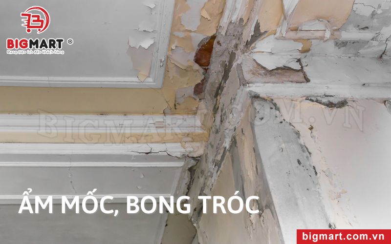 độ ẩm không khí cao rất dễ gây ra tình trạng nấm mốc, gỉ sét