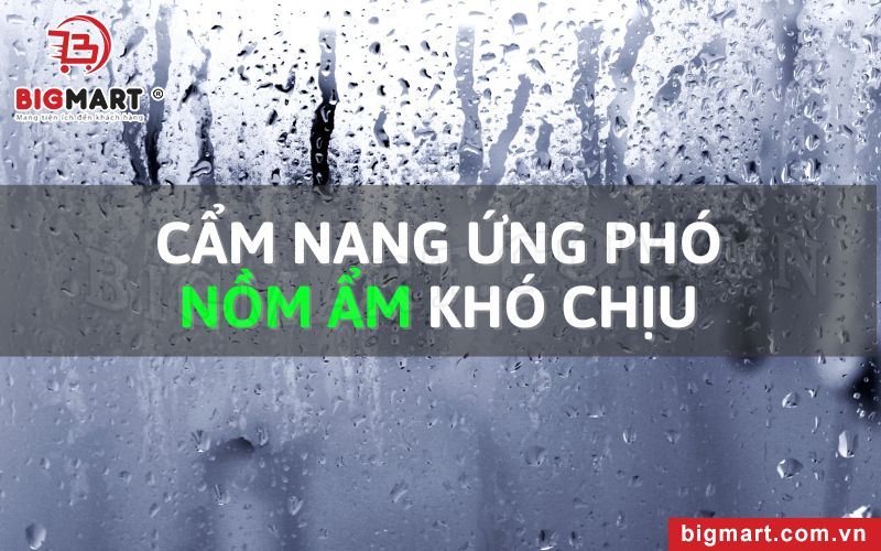 Cẩm nang ứng phó nồm ẩm