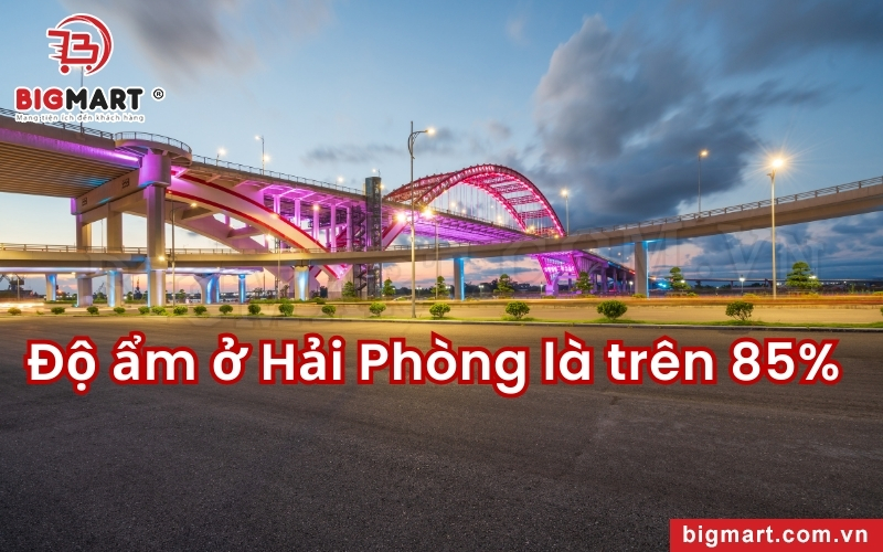 độ ẩm cao tại hải phòng