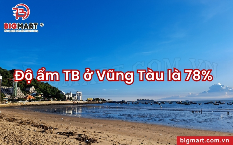 độ ẩm cao tại vũng tàu