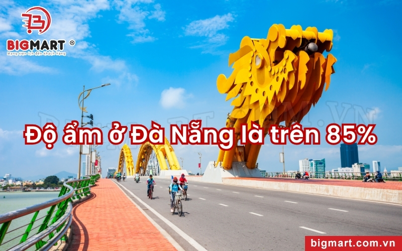 độ ẩm cao tại đà nẵng