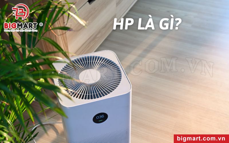 HP là gì?