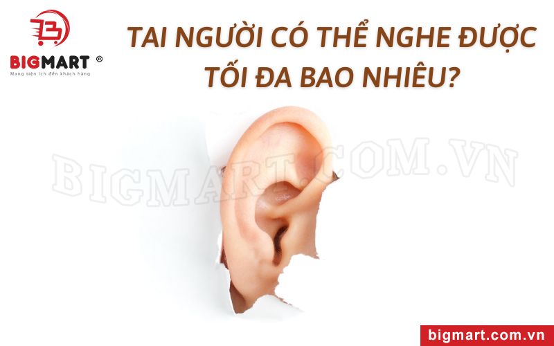 Tai người có thể nghe được tối đa bao nhiêu?