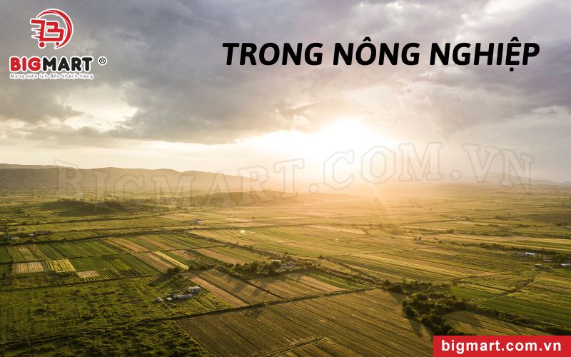 Ứng Dụng Của Thang Nhiệt Độ Trong Nông Nghiệp