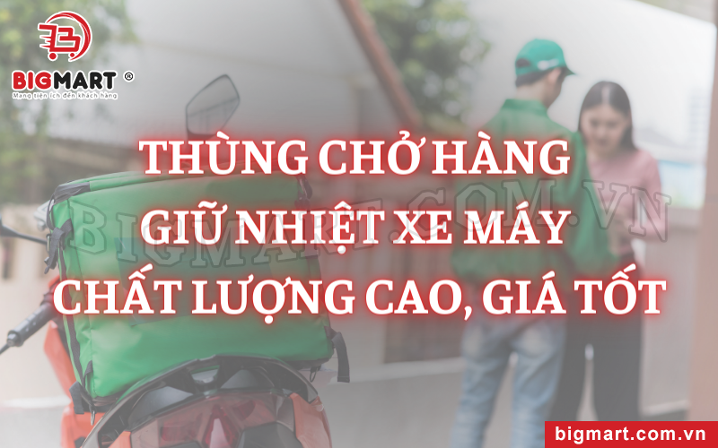 Thùng Chở Hàng Giữ Nhiệt Xe Máy Chất Lượng Cao, Giá Tốt