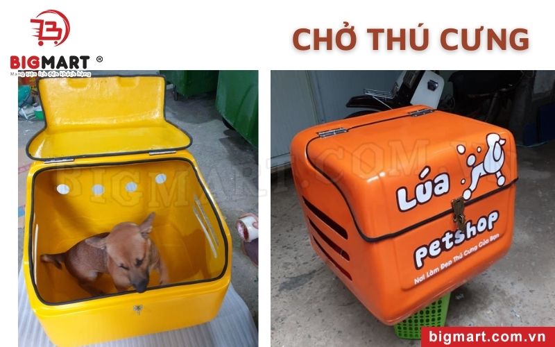 Khả năng “độc lạ” khác của thùng chở hàng xe máy Kiên Giang là chở thú cưng.