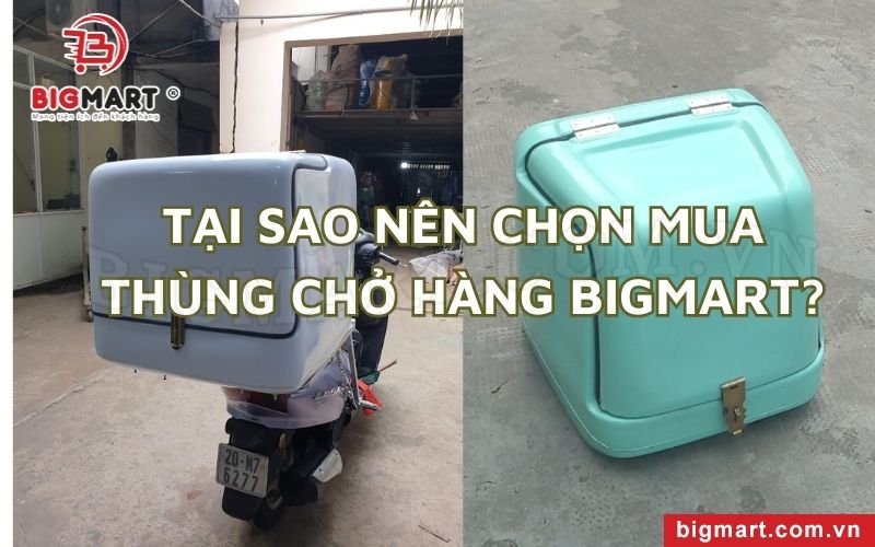 Tại sao nên chọn mua thùng chở hàng Bigmart?