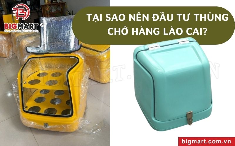 Tại sao nên đầu tư thùng chở hàng Lào Cai?