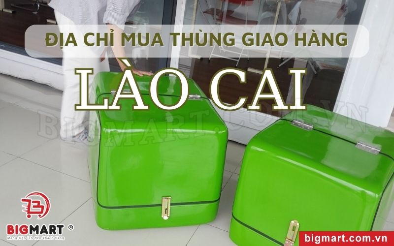 Nơi Mua Thùng Chở Hàng Xe Máy Lào Cai Giá Tốt, Chất Lượng Hàng Đầu