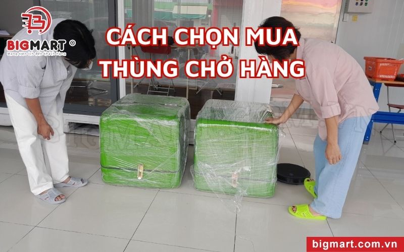  Cách chọn mua thùng chở hàng Trà Vinh đúng đắn