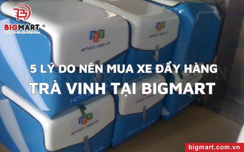  5 lý do nên mua thùng chở hàng Trà Vinh tại Bigmart 