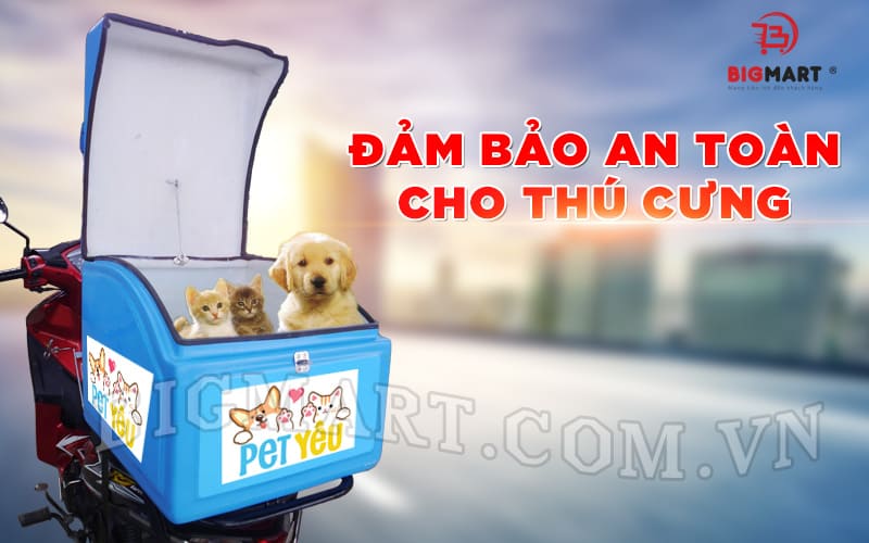 Thùng composite đảm bảo an toàn tuyệt đối cho thú cưng