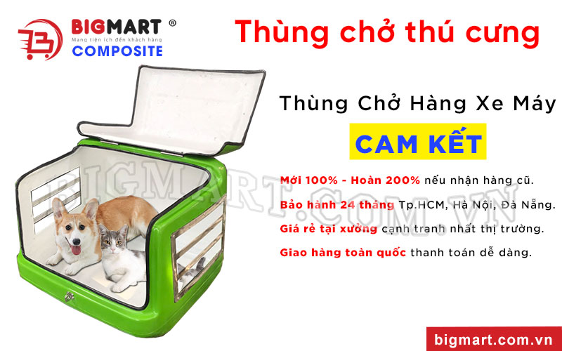 Bigmart Composite cung cấp thùng chở thú cưng giá rẻ