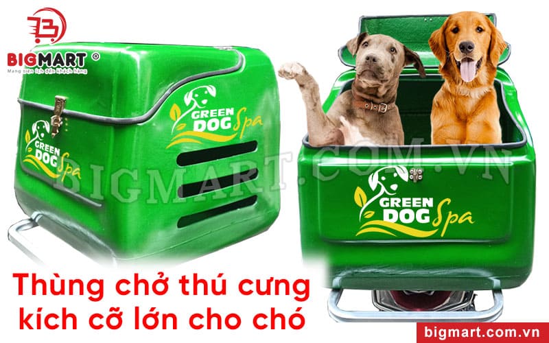 Thùng chở thú cưng cỡ lớn cho các giống chó to như golden