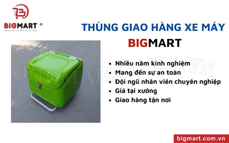 Bigmart- Địa chỉ chuyên cung cấp thùng chở hàng xe máy tại Bình Dương