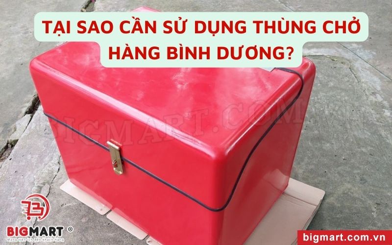 Tại sao cần sử dụng thùng chở hàng xe máy Bình Dương?