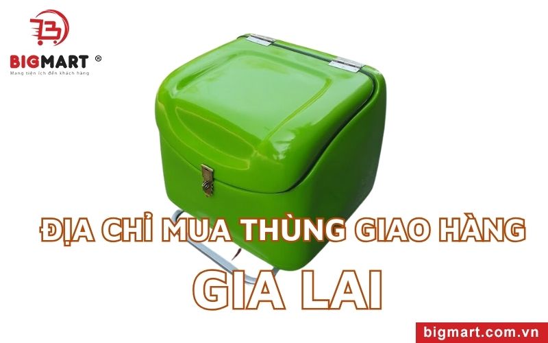 Chuyên Cung Cấp Thùng Giao Hàng Gia Lai Uy Tín, Giá Rẻ