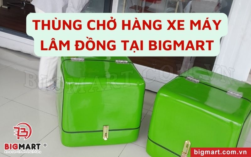 Tại sao nên chọn mua thùng giao hàng Lâm Đồng tại Bigmart?