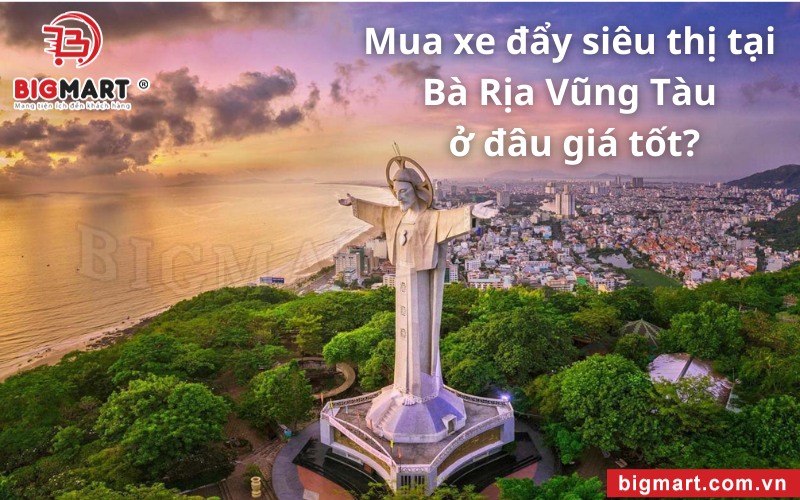 xe đẩy siêu thị tại Bà Rịa Vũng Tàu