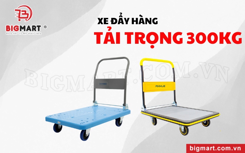 Xe đẩy hàng tại Bình Phước tải trọng 300kg