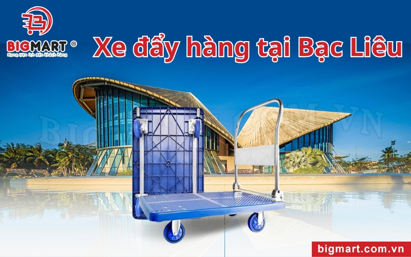 Xe đẩy hàng tại Bạc Liêu