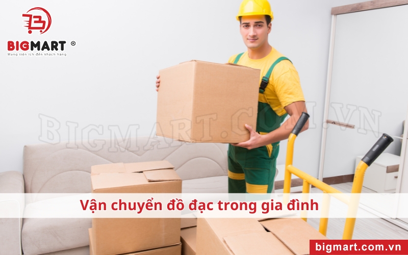 Xe đẩy hàng tại Bạc Liêu sử dụng trong  gia đình