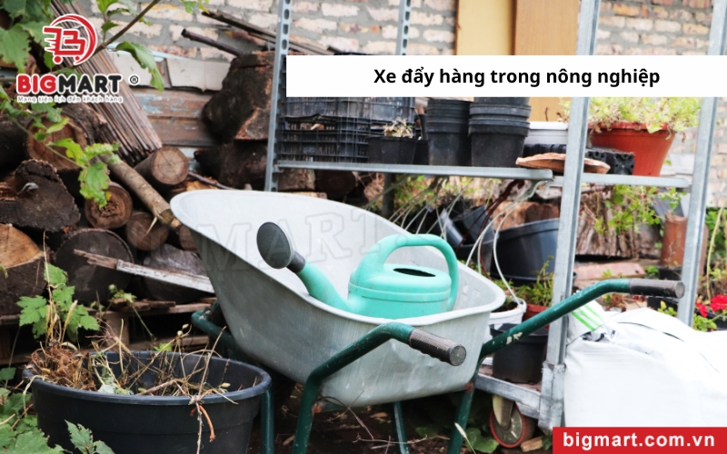 xe đẩy hàng tại Bến Tre trong nông nghiệp