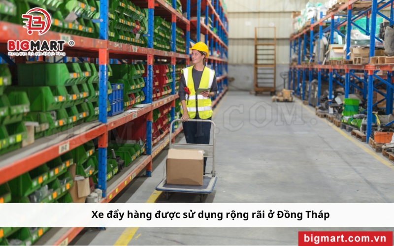 Xe Đẩy Hàng Tại Đồng Tháp 